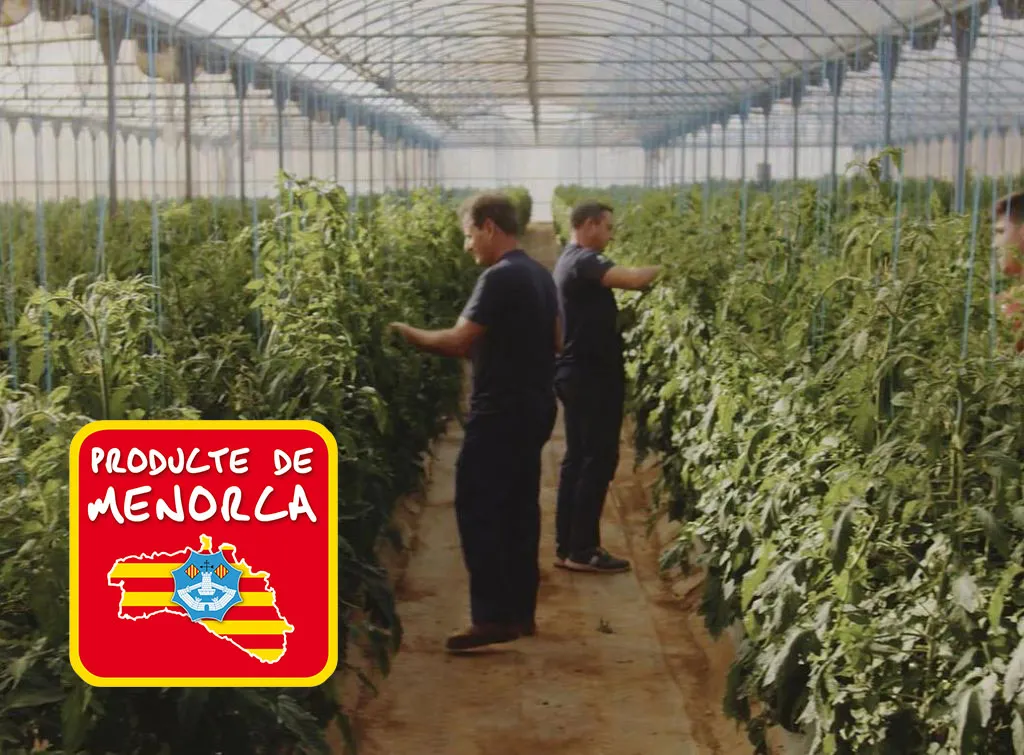 Producte local Binipreu